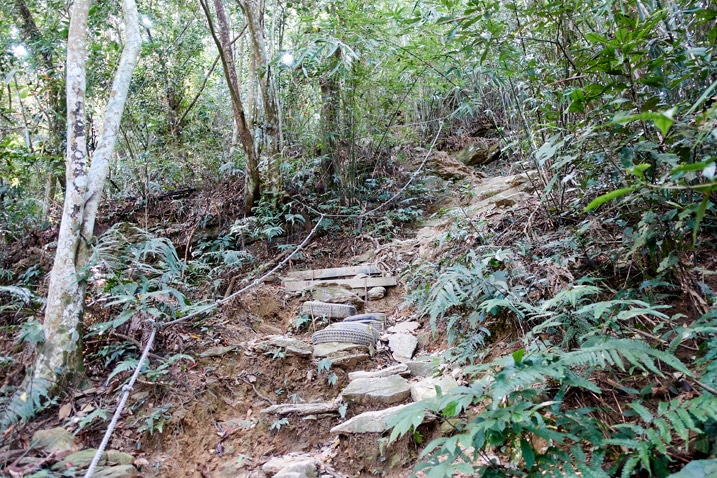 Rocky trail up a mountain - trees on either side - WeiLiaoShan Hike – 尾寮山