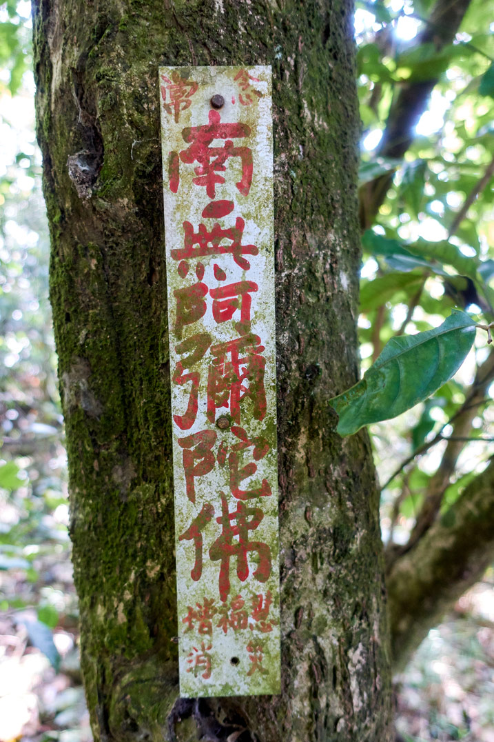 Long up and down sign attached to tree with red lettering in Chinese - WeiLiaoShan Hike – 尾寮山