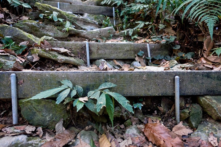 Closeup of makeshift stairs on mountain trail - WeiLiaoShan Hike – 尾寮山