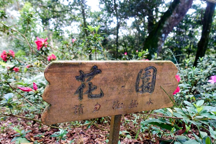 A wooden sign with flowers behind it - WeiLiaoShan 尾寮山 trail