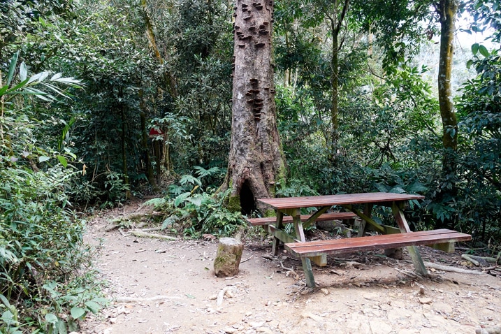 A picnic table and tree next to a trail - WeiLiaoShan 尾寮山 trail