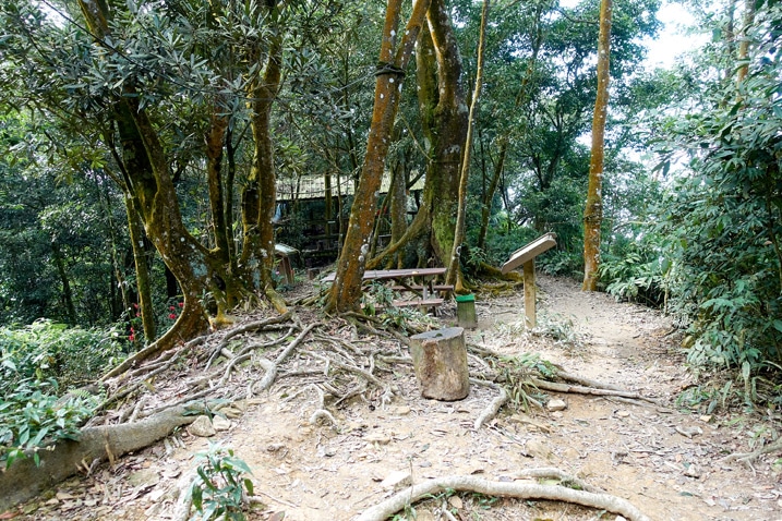 A dirt area with trees growing - structure in the background - WeiLiaoShan 尾寮山 trail