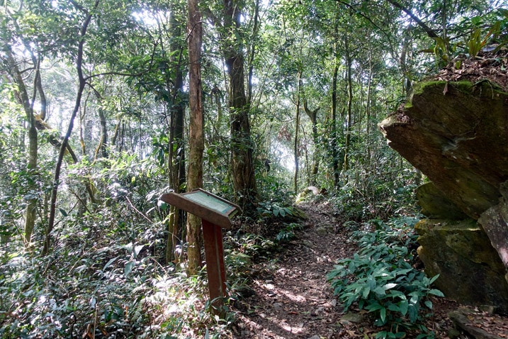A large sign is next to a single track trail - trees all around - WeiLiaoShan 尾寮山 trail