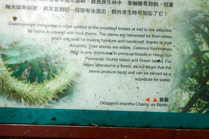 Closeup of sign talking about a particular plant - WeiLiaoShan 尾寮山 trail