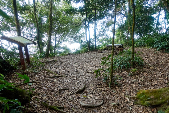 An open area with trees around the perimeter - a table towards the back - WeiLiaoShan 尾寮山 trail