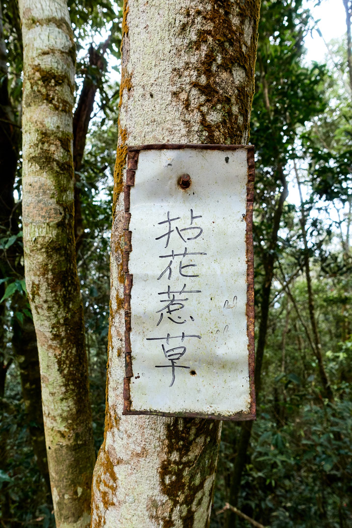 White sign attached to tree with Chinese writing - WeiLiaoShan 尾寮山