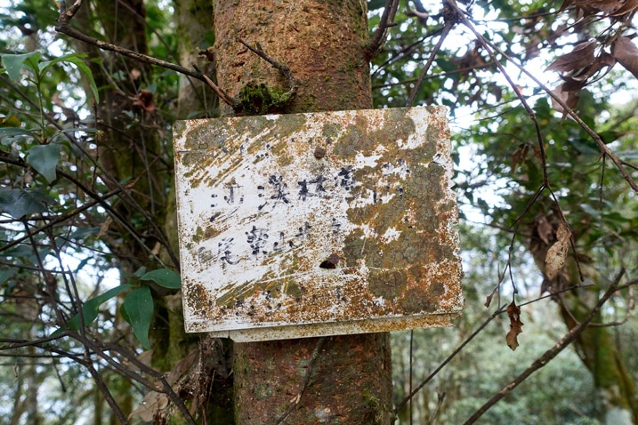 Dirty sign with difficult to read Chinese attached to a tree - WeiLiaoShan 尾寮山