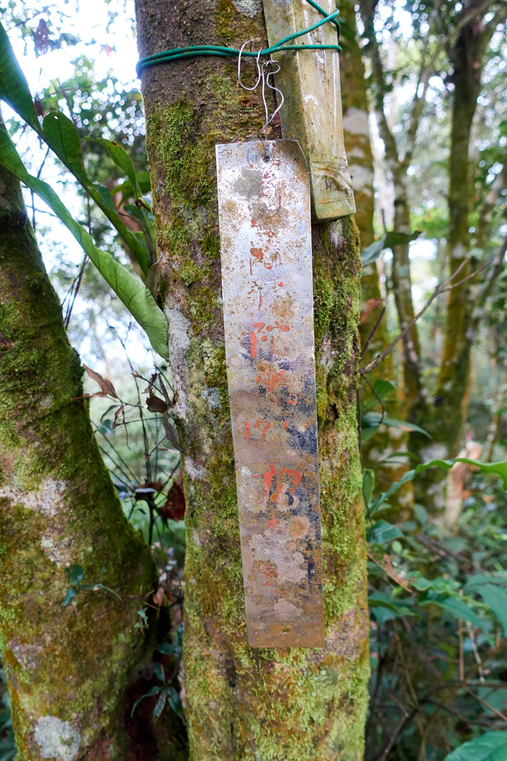 Metal sign with faded Chinese words attached to a tree - WeiLiaoShan 尾寮山