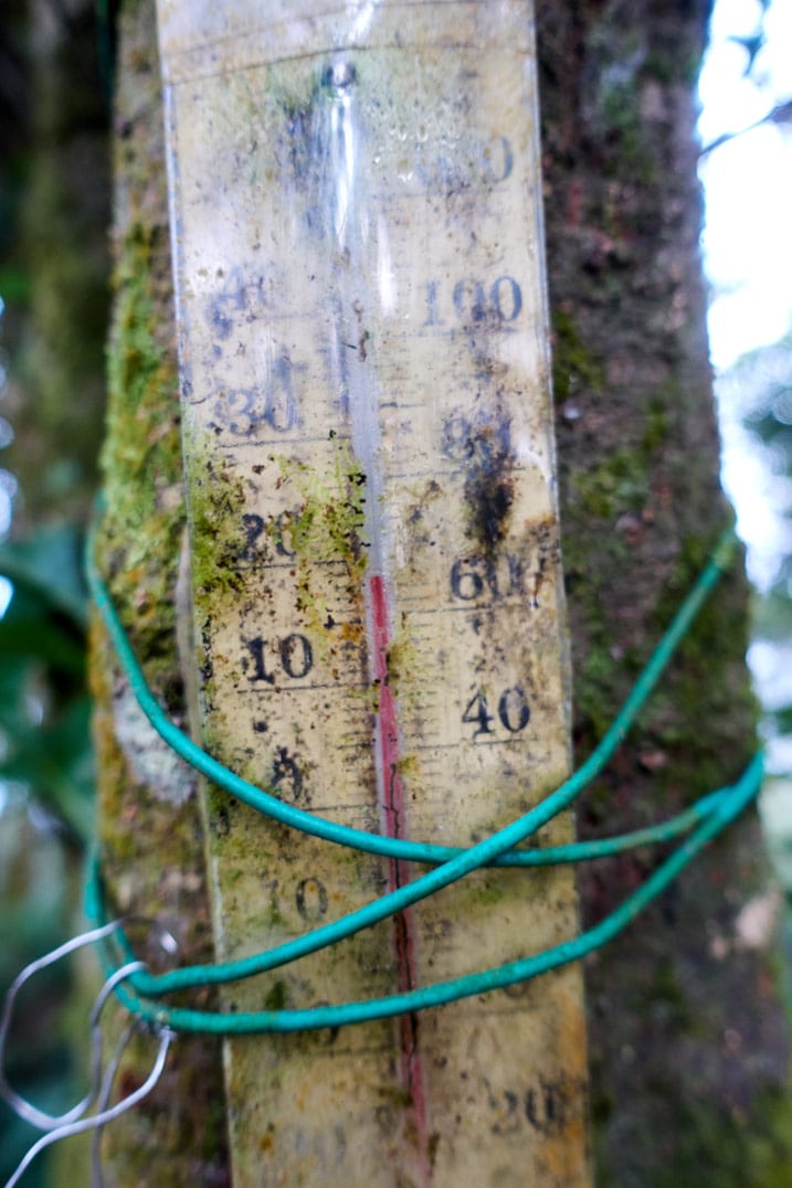 Closeup of thermometer tied up to a tree - WeiLiaoShan 尾寮山