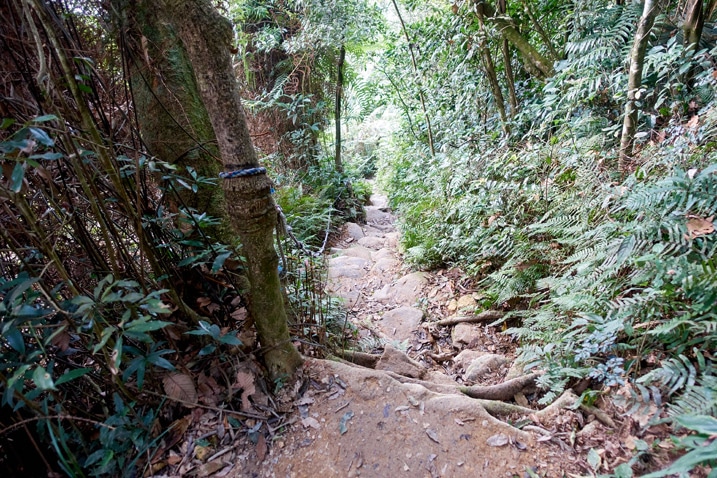 Looking down a rocky trail - rope on the left - WeiLiaoShan 尾寮山 trail