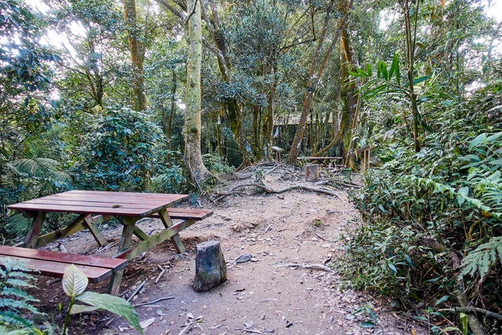 Rest area - picnic table and pavilion amongst many trees - WeiLiaoShan 尾寮山 trail