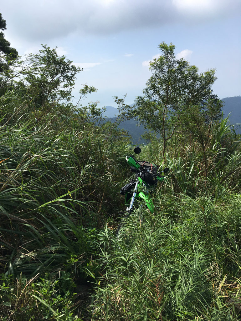 Overgrown trail with motorcycle in middle - BeiHuLuShan 北湖呂山