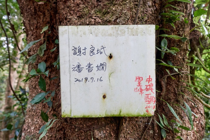 Faded white sign with Chinese writing nailed to a tree - BeiHuLuShan Peak 北湖呂山