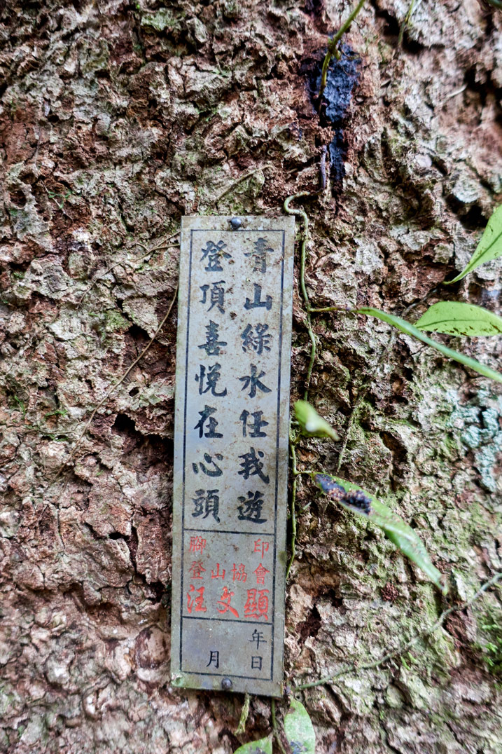 Small metal sign with Chinese writing nailed to a tree - BeiHuLuShan Peak 北湖呂山