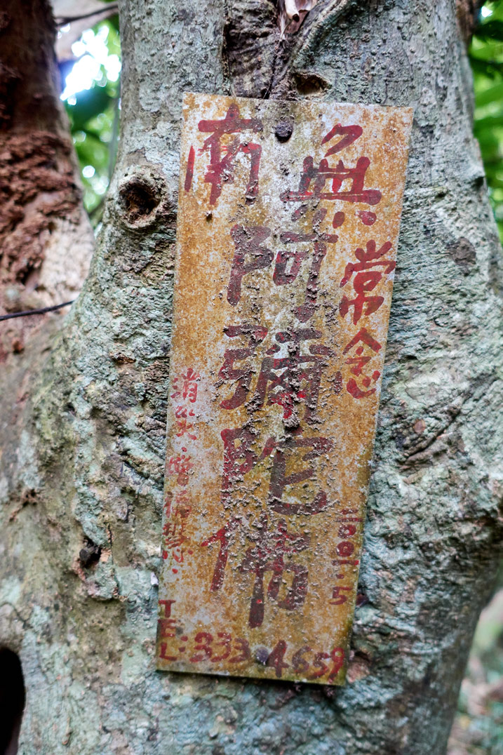 Old, faded dirty sign attached to tree with Chinese writing on it - BeiHuLuShan Peak 北湖呂山