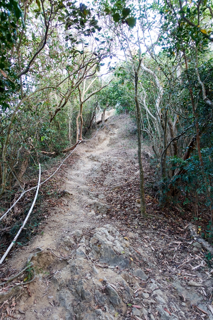 Trail going up the mountain with rope on the 旗月縱走