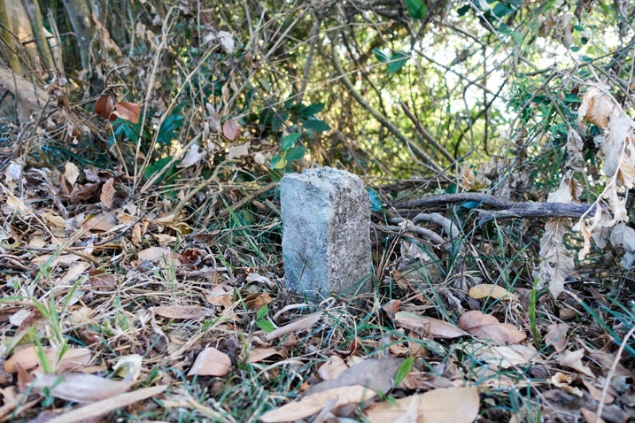 Stone pillar sticking out of the ground - 旗月縱走
