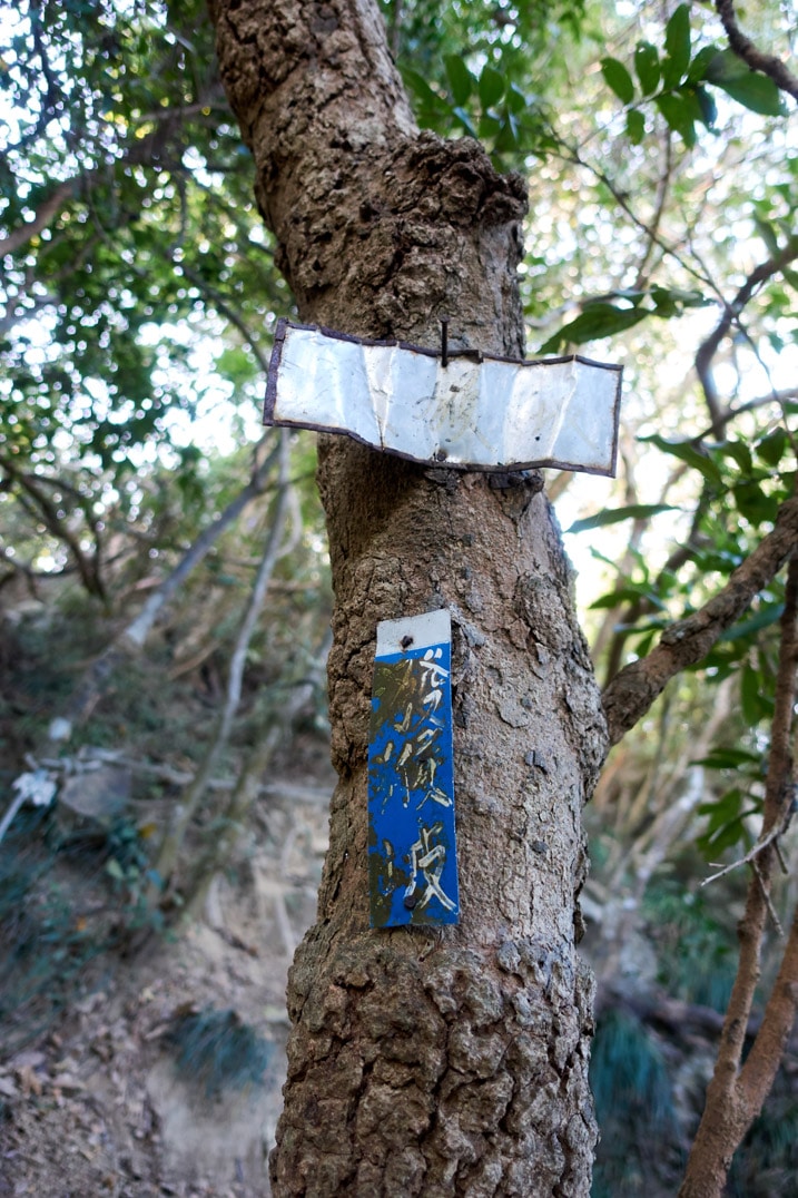 Tree with two metal signs in Chinese nailed to it - 旗月縱走 - 福美山