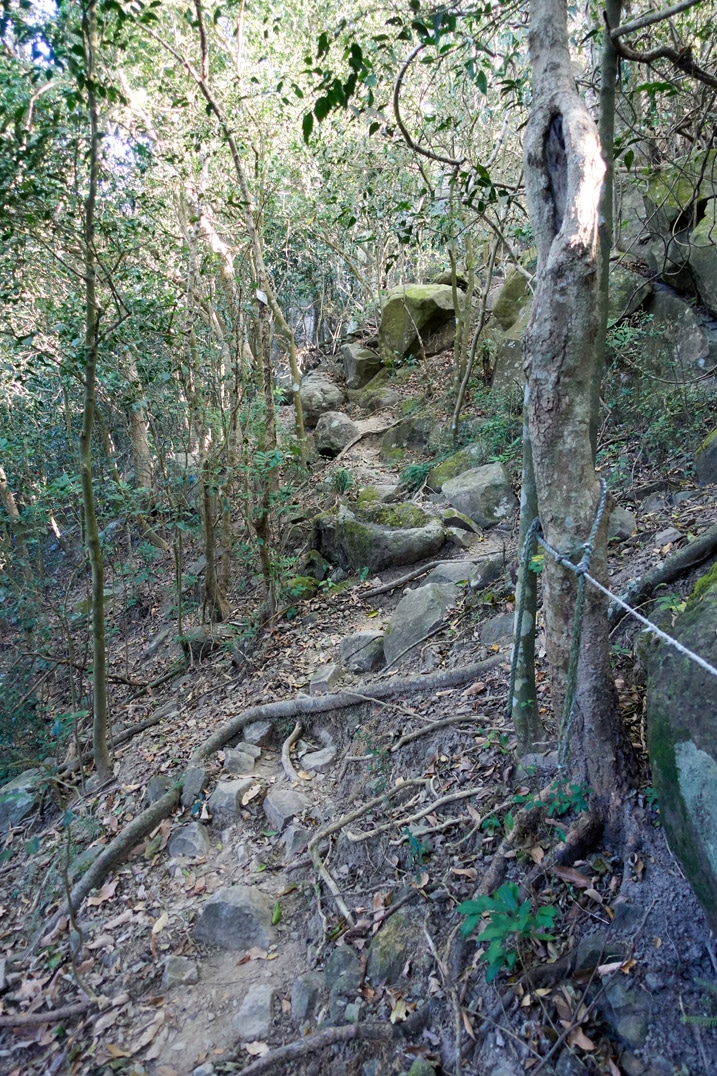 Trail going up with rope - trees and rocks around - 旗月縱走