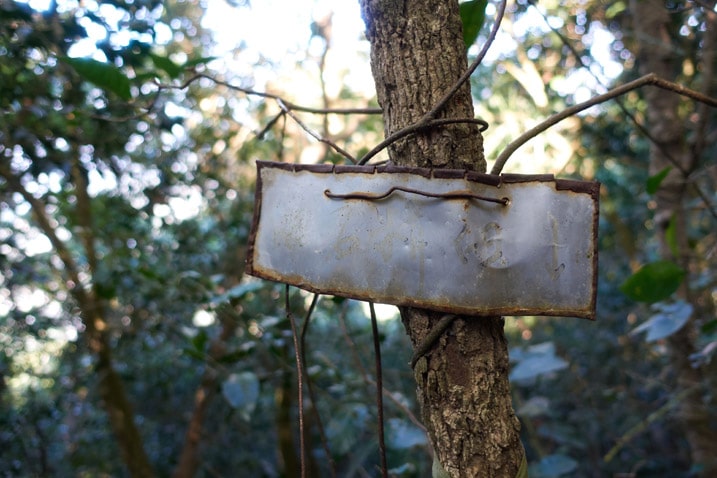Unreadable metal sign hung around small tree - 旗月縱走