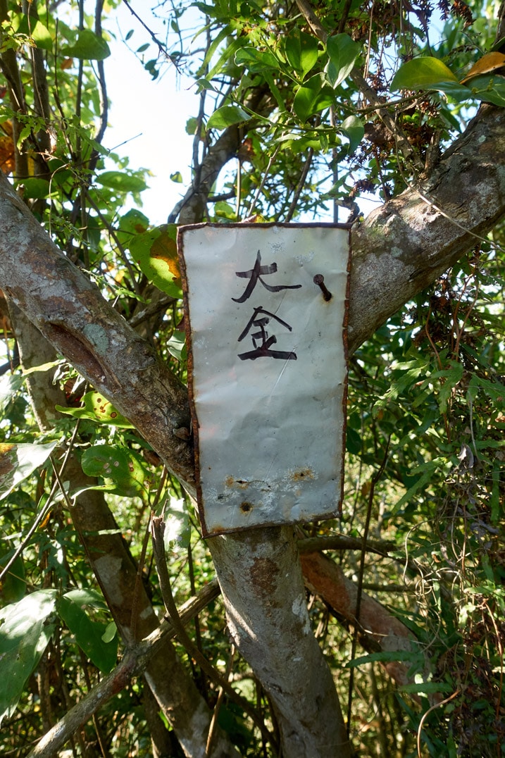 Metal sign with chinese words written on it attached to tree - 旗月縱走 - 金字圓山