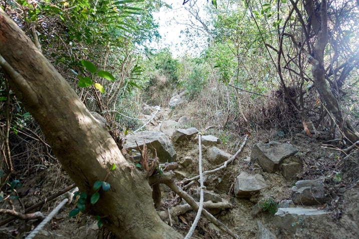 Steep rocky climb with ropes - trees on either side - 旗月縱走