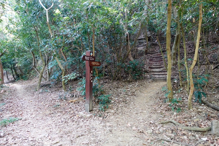 Fork in trail - one going up with stairs - sign post - 靈山步道 - 旗月縱走