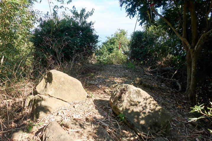 Looking at 靈山 - open space with rocks and trees - 旗月縱走 