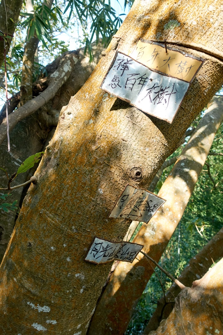 Signs in Chinese attached to a tree - 旗月縱走