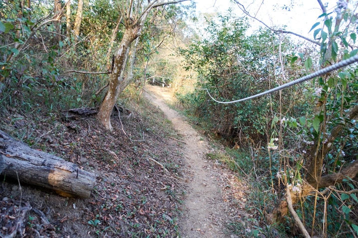 Trail with rope - trees - 旗月縱走 - 月光山