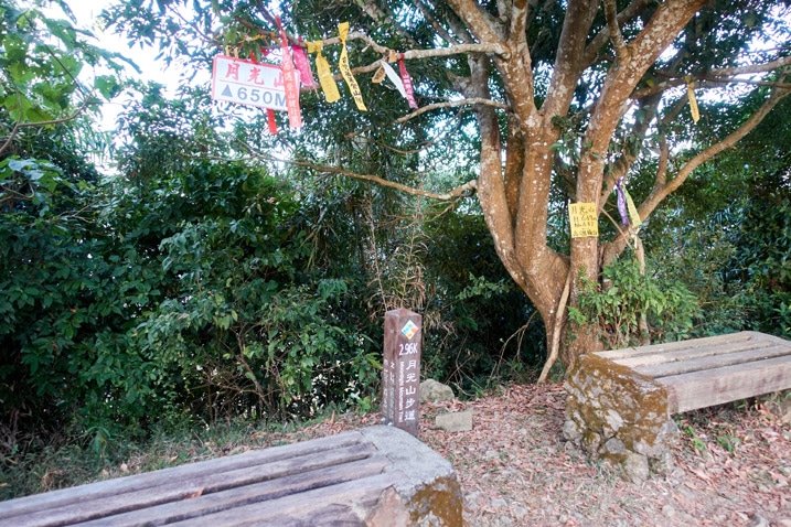 Bench and tree with many ribbons and sign hanging from it - 旗月縱走 - 月光山