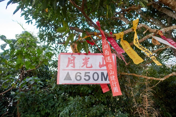 Red and white sign and many ribbons hanging from tree - 旗月縱走 - 月光山
