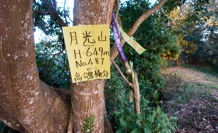 Yellow sign in Chinese and ribbons hanging from tree - 旗月縱走 - 月光山