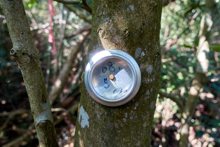 Bottom of can nailed to a tree with a date written on it - XinZhiShan - 新置山