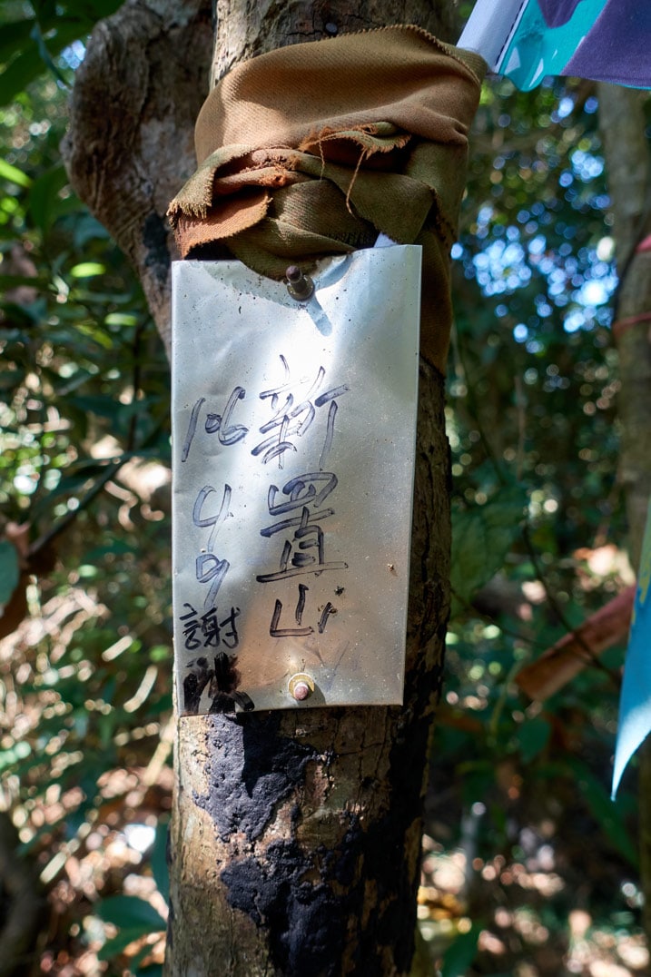 Metal sign attached to tree with Chinese writing - XinZhiShan - 新置山 Peak