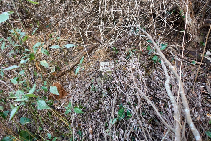 Stone marker covered by dead overgrowth - WuTanShan - 武潭山 Peak