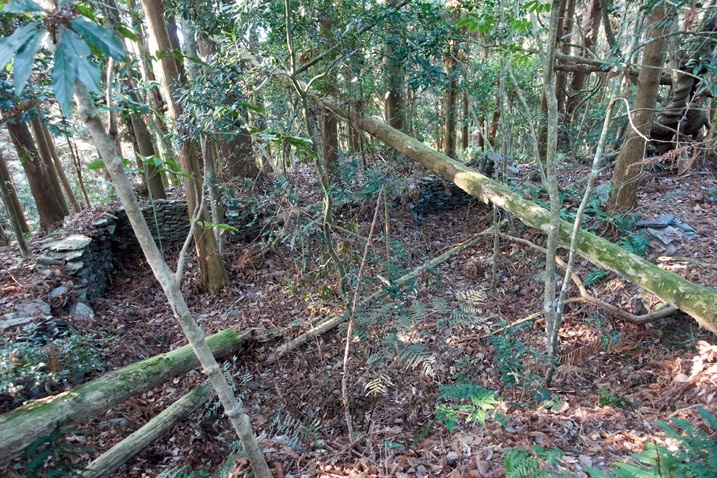 Remnants of abandoned Taiwan aboriginal traditional house - Stacked rocks and many trees