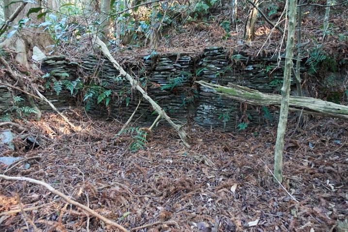 Remnants of abandoned Taiwan aboriginal traditional house - Stacked rocks and many trees