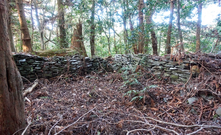 Remnants of abandoned Taiwan aboriginal traditional house - Stacked rocks and many trees