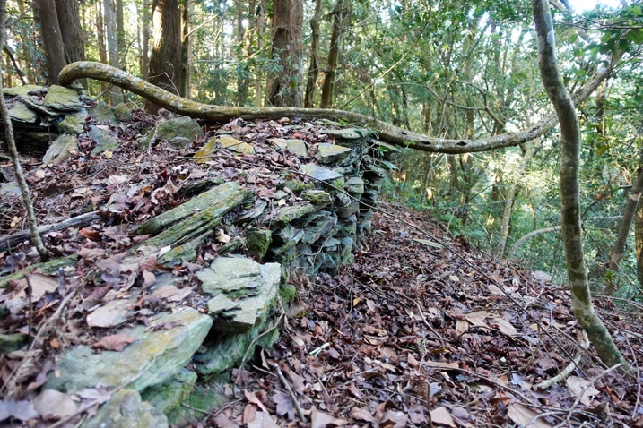 Remnants of abandoned Taiwan aboriginal traditional house - Stacked rocks and many trees
