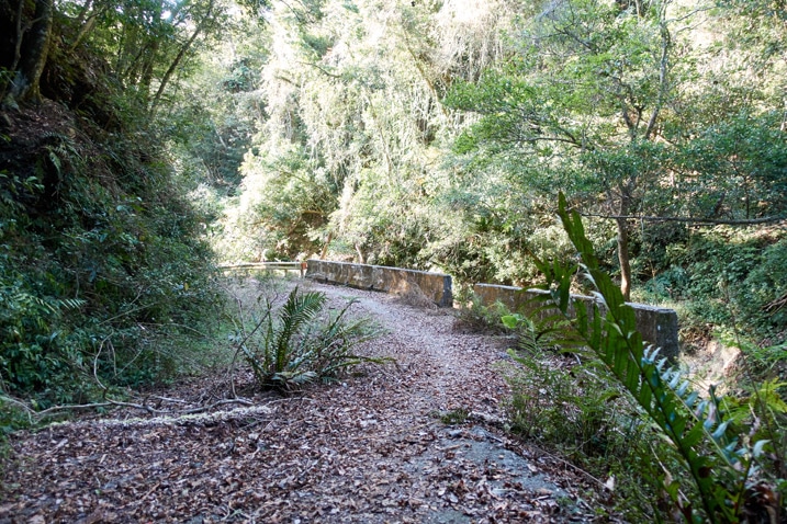 Mountain road with barriers on side going down the mountain