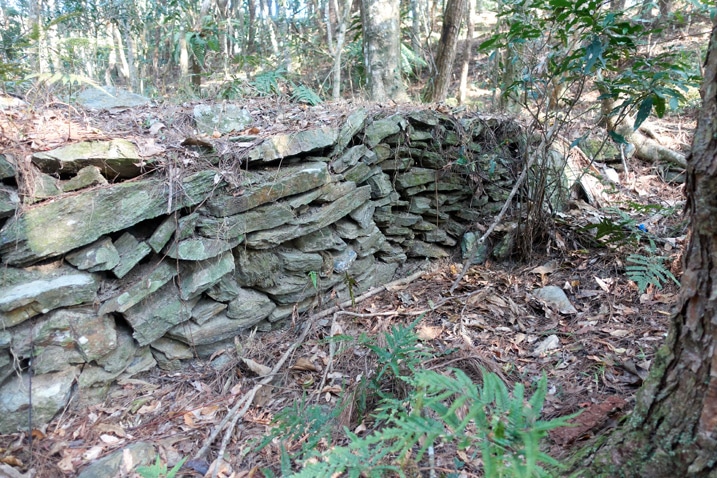 Rocks stacked up as a small wall in forest
