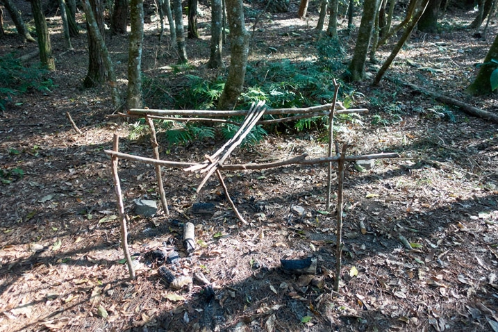 tree branches tied up to hang food over a fire