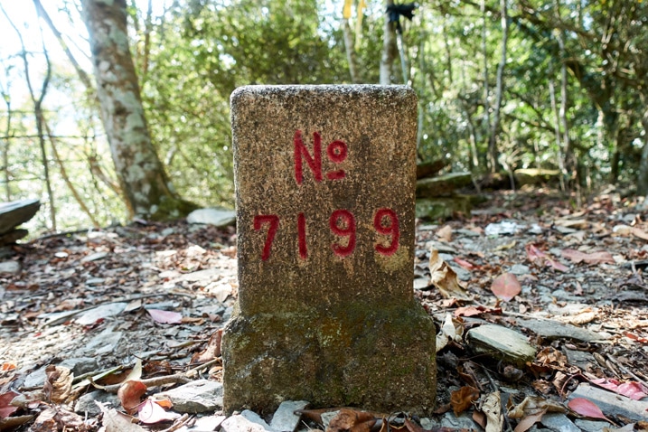 Closeup of triangulation stone with "No 7199" written on it