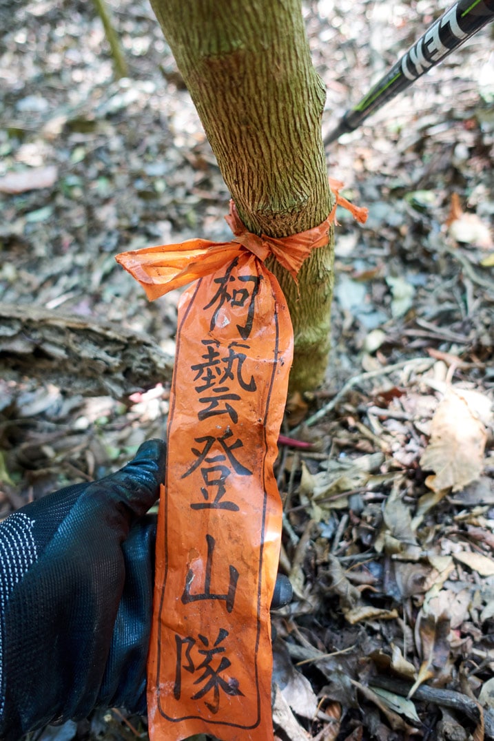 Ribbon tied to tree that says 柯藝登山隊