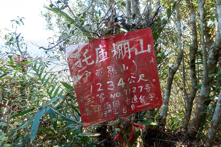 Red sign attached to a tree with Chinese on it