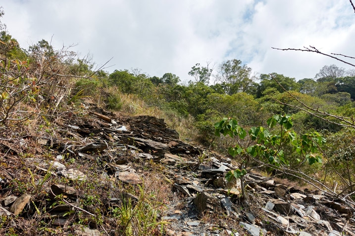 Small mountain landslide