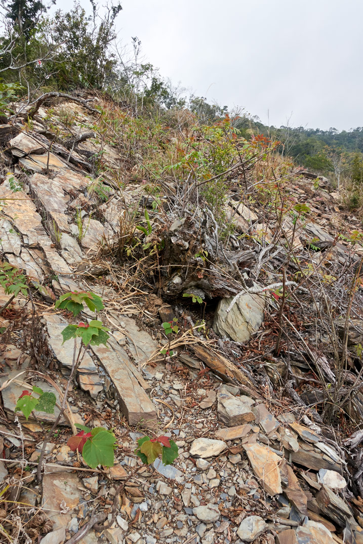 Rocky landslide closeup