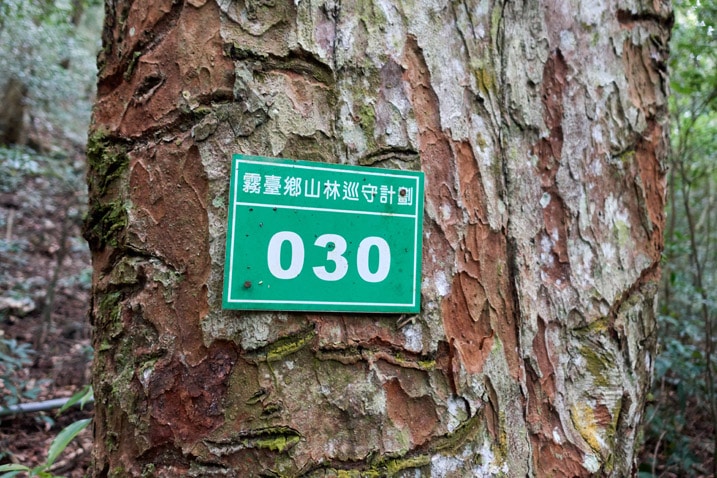 Tree with green government sign with "30" and Chinese written on it