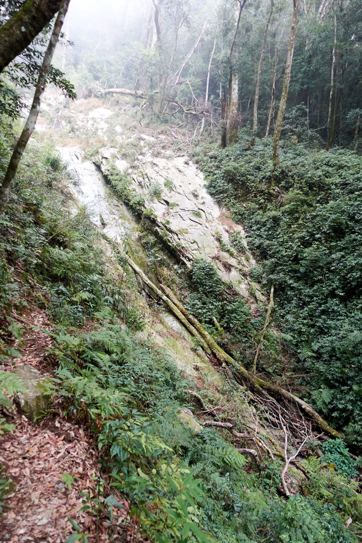 Steep ravine - white rock - dead trees